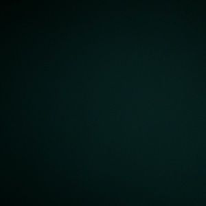 Meet your Posher, Cassidy